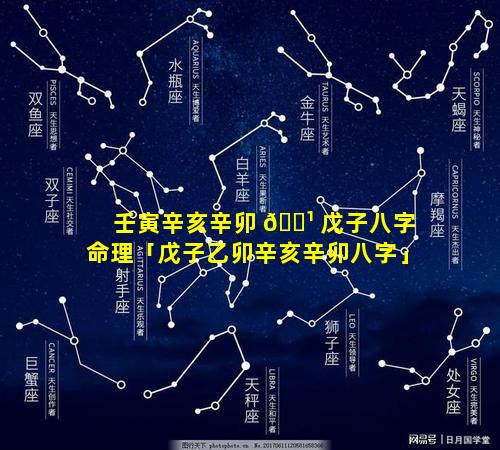 壬寅辛亥辛卯 🌹 戊子八字命理「戊子乙卯辛亥辛卯八字」